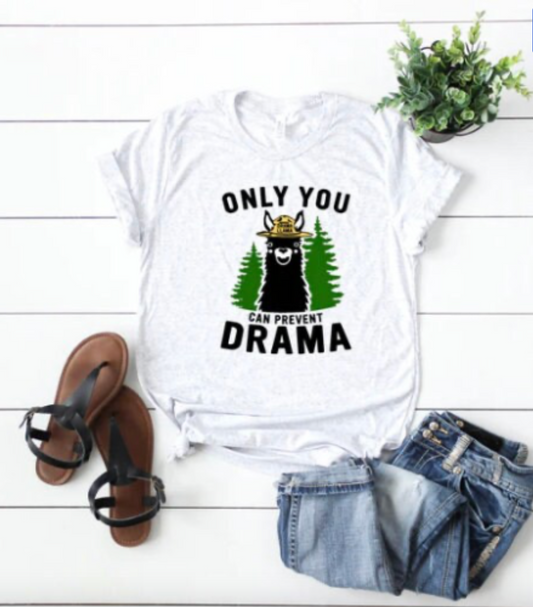 Only you can prevent drama shirt